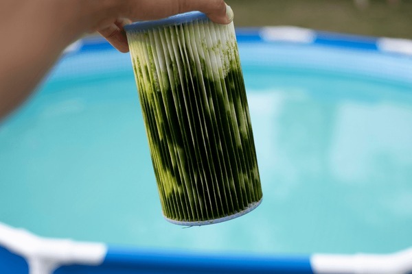 Clean Pool Filter